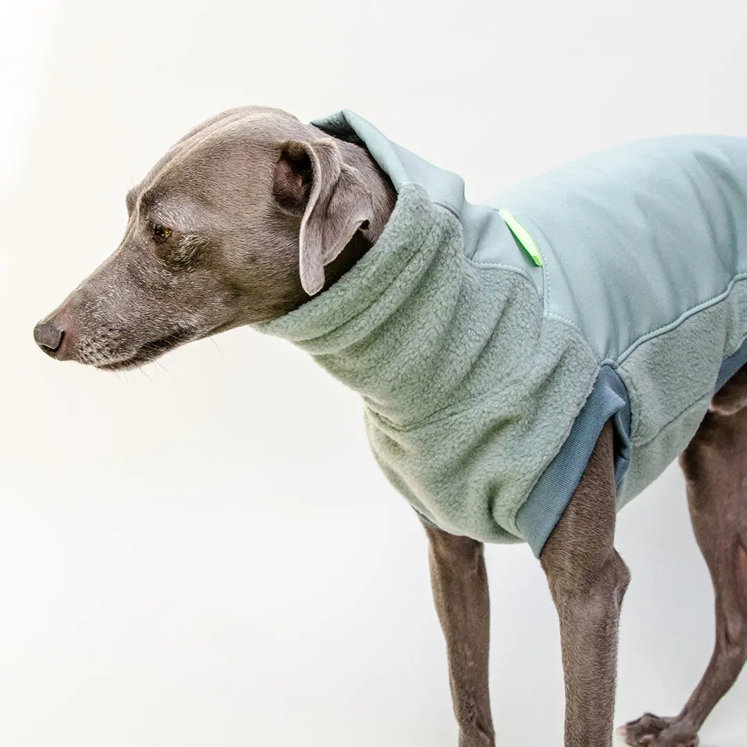 Softshell Hundepullover 4legs.de