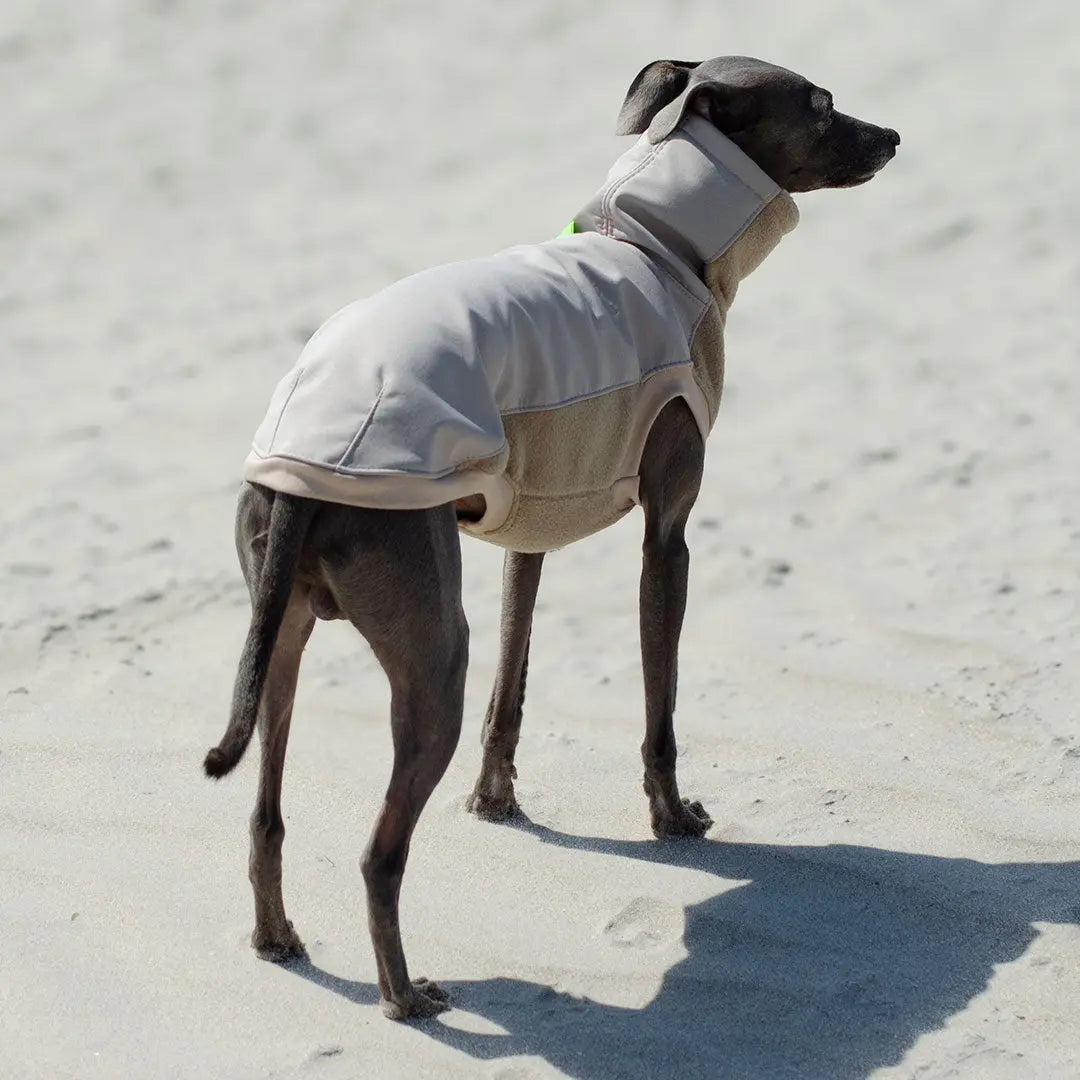 Softshell Hundepullover "Smart" - beige 4legs.de