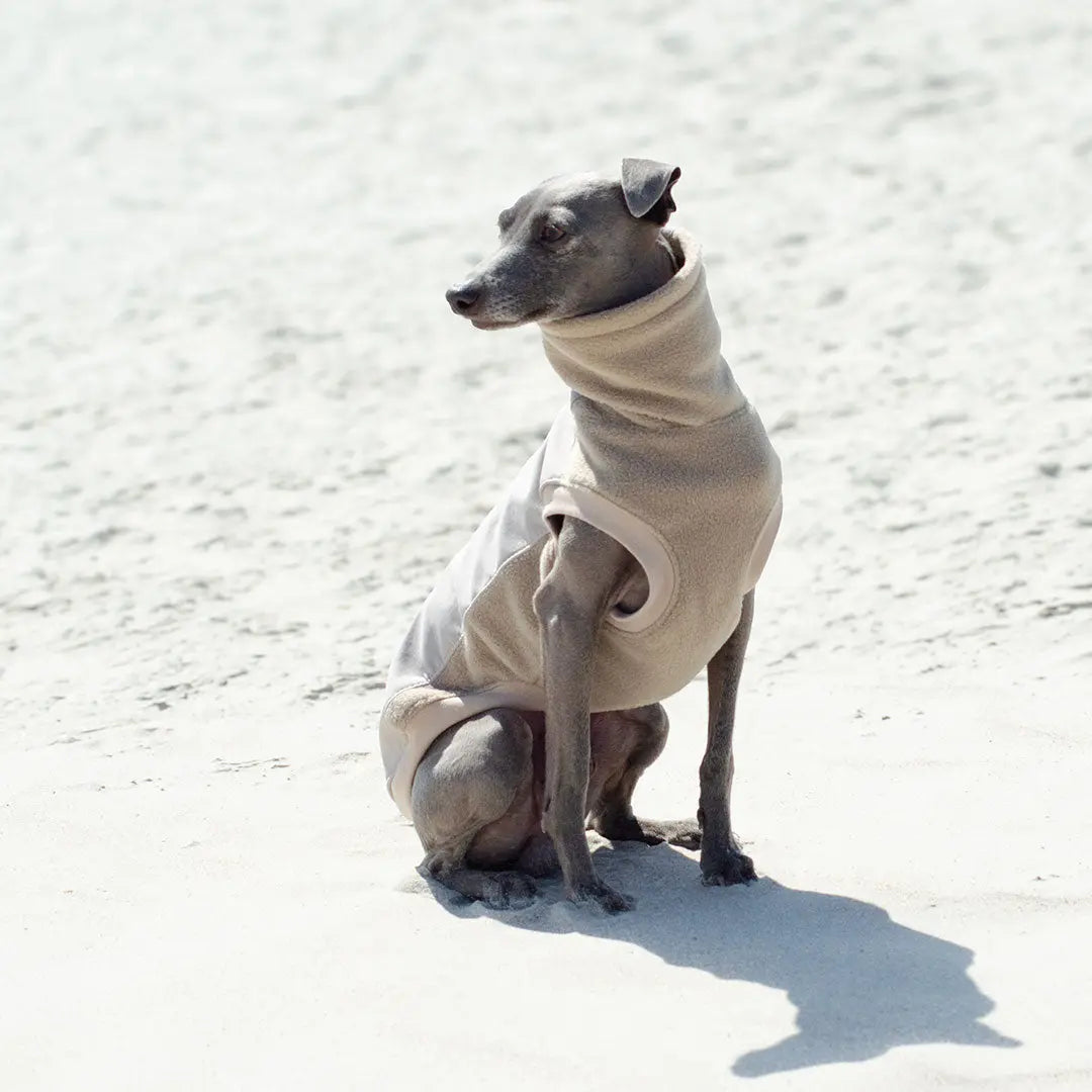 Softshell Hundepullover "Smart" - beige 4legs.de