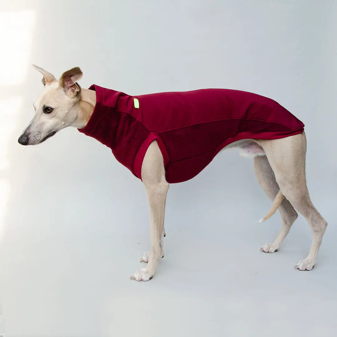 Softshell Hundepullover "Smart" - bordeaux 4legs.de