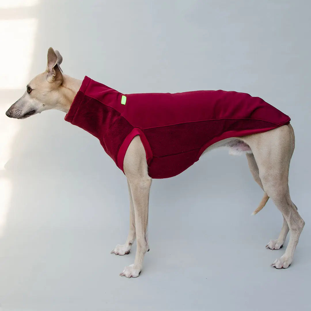 Softshell Hundepullover "Smart" - bordeaux 4legs.de