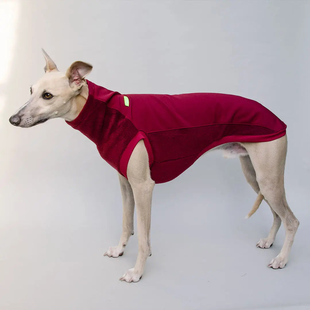 Softshell Hundepullover "Smart" - bordeaux 4legs.de