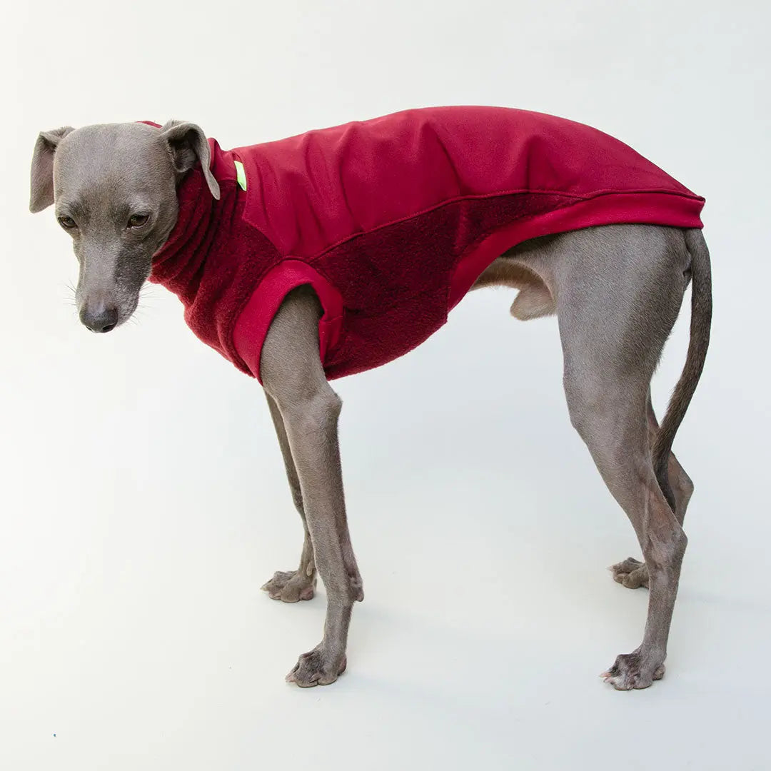 Softshell Hundepullover "Smart" - bordeaux 4legs.de