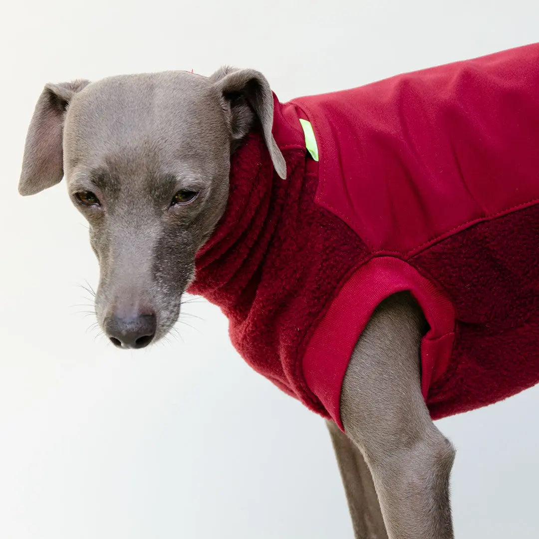 Softshell Hundepullover "Smart" - bordeaux 4legs.de