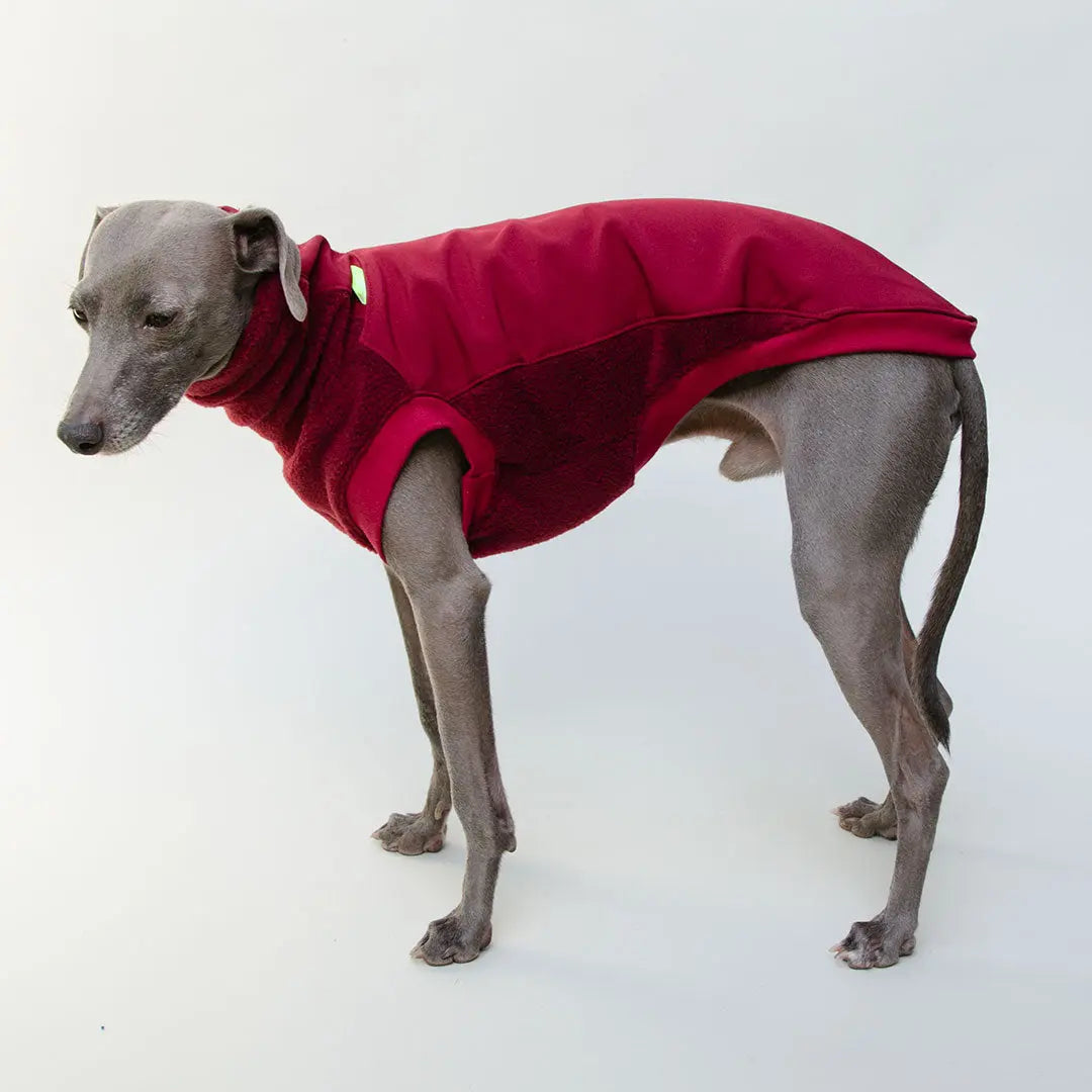 Softshell Hundepullover "Smart" - bordeaux 4legs.de