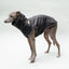 Softshell dog sweater 
