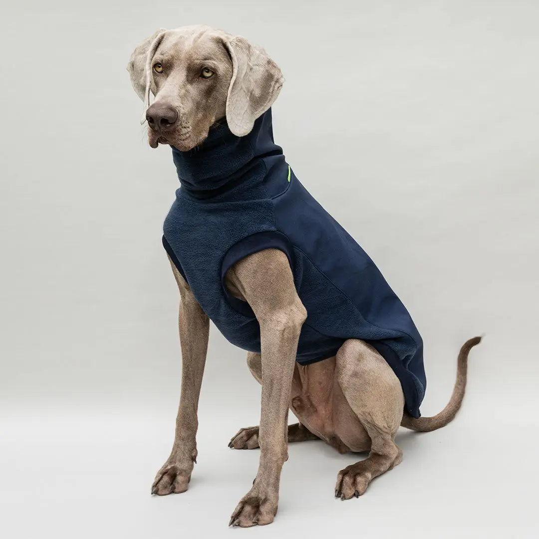 Softshell Hundepullover "Smart" - navy 4legs.de