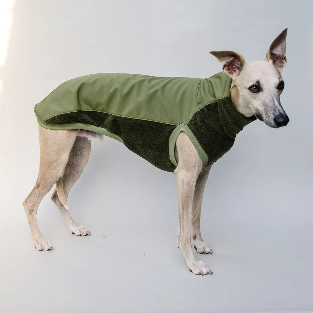 Softshell Hundepullover "Smart" - oliv 4legs.de