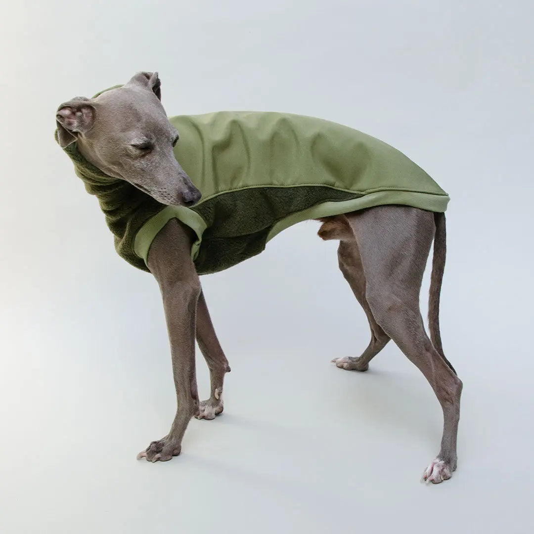 Softshell Hundepullover "Smart" - oliv 4legs.de