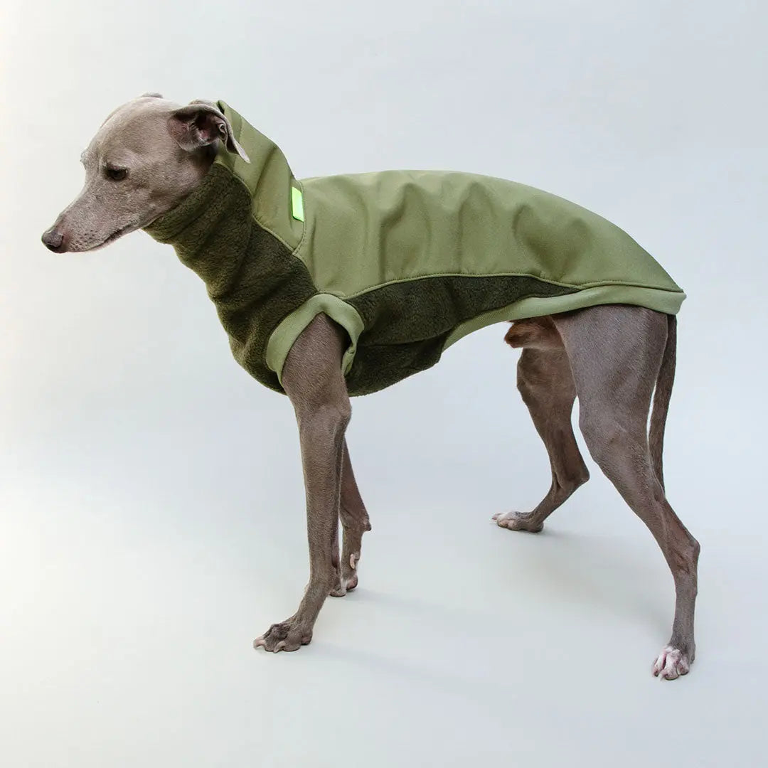 Softshell Hundepullover "Smart" - oliv 4legs.de