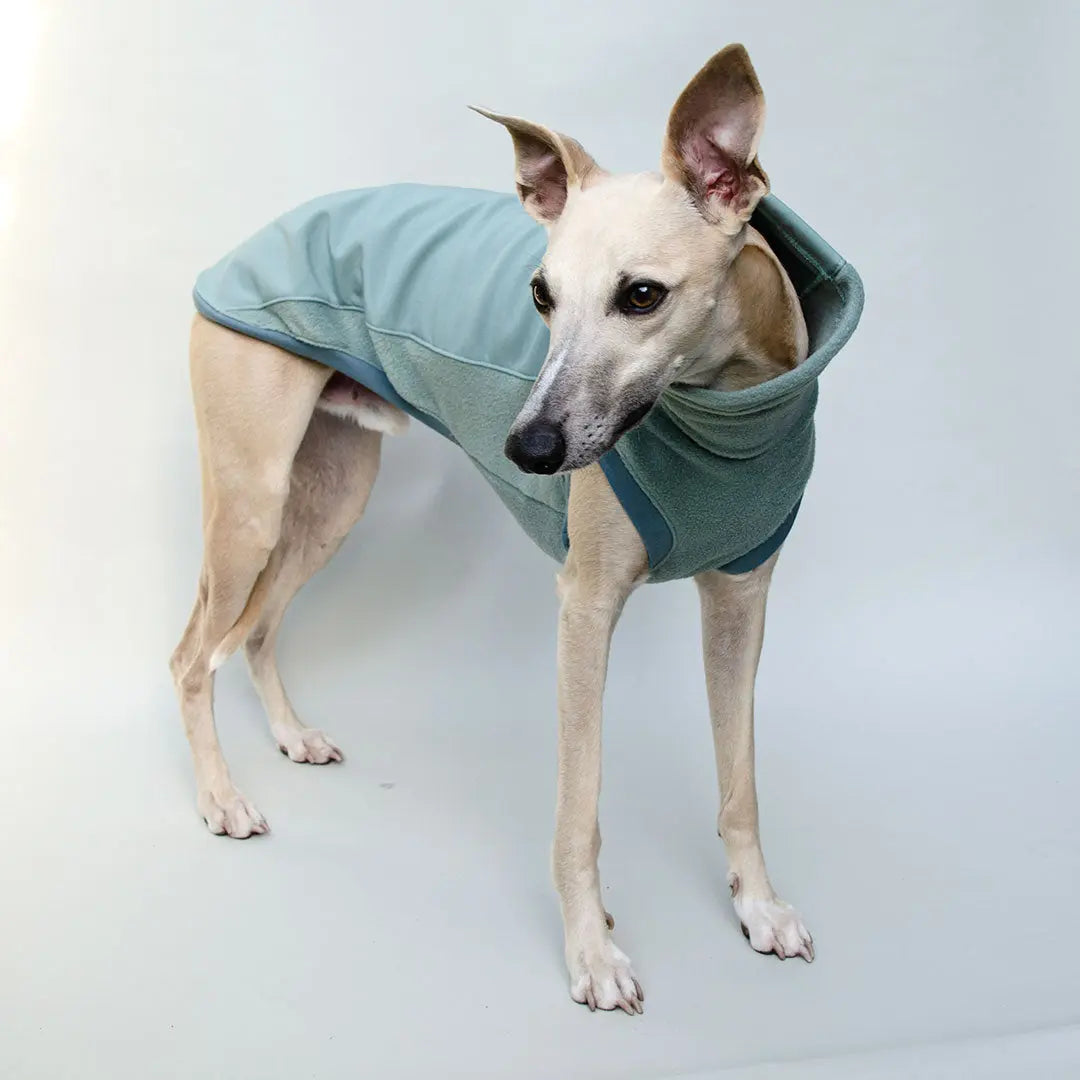 Softshell Hundepullover "Smart" - salbei 4legs.de