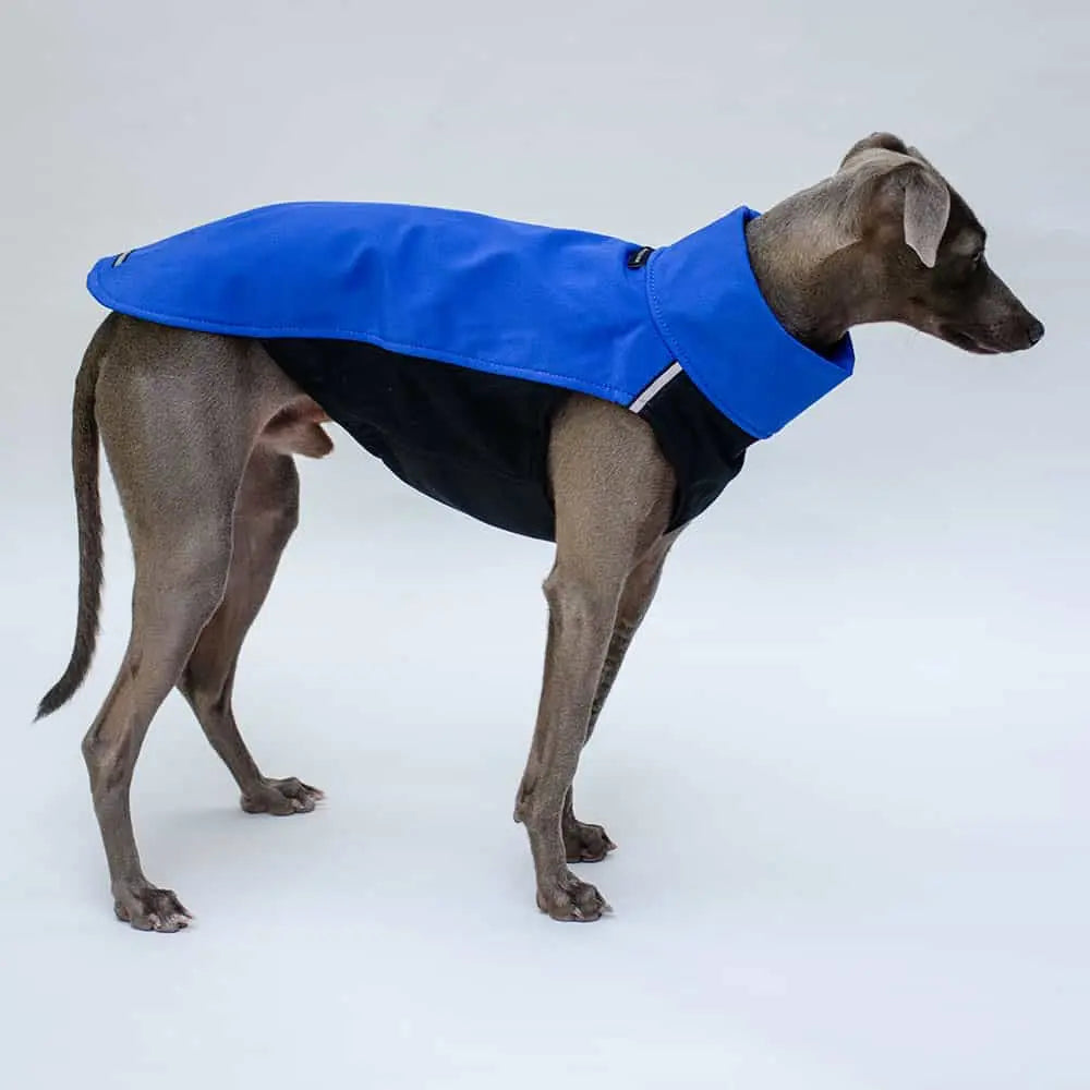 Dieser blaue Softshell-Pulli für Hunde "HACHICO Vol. 2" ist die perfektionierte Neuauflage für aktive freiheitsliebende Hunde