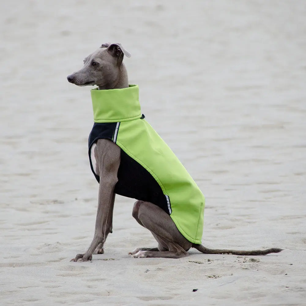 Softshell-Pullover für Hunde - „Hachico Vol. 2“ - green 4legs.de