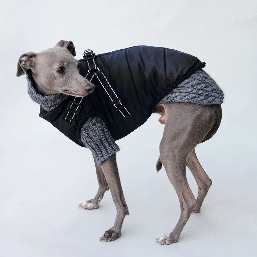 Sportswear Jacke für Hunde - schwarz 4legs.de