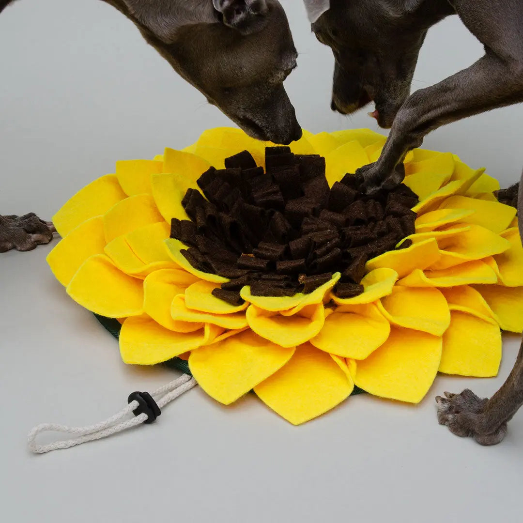 "Sunflower Sniff" Schnüffelmatte 4legs.de