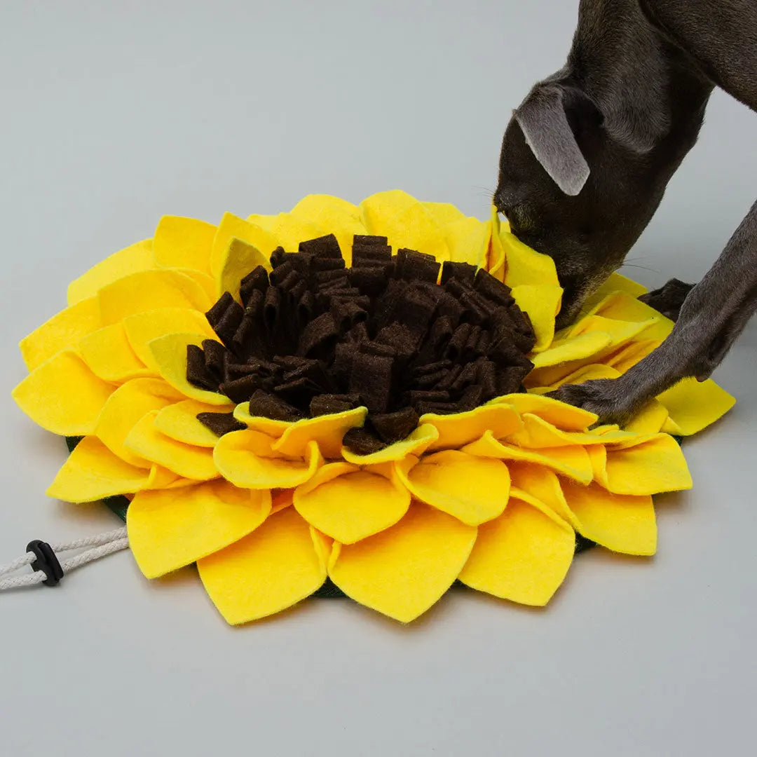 "Sunflower Sniff" Schnüffelmatte 4legs.de