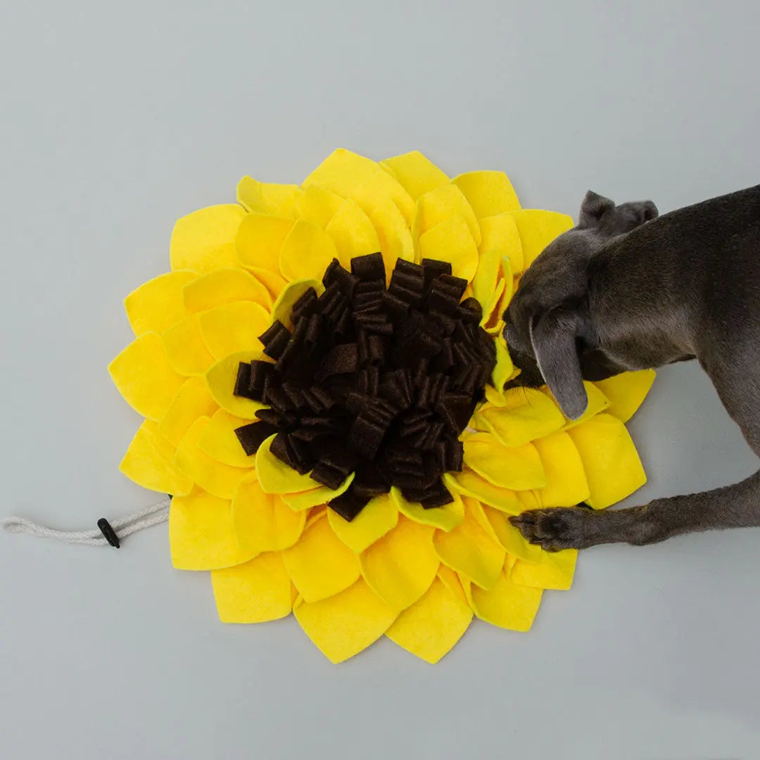 "Sunflower Sniff" Schnüffelmatte 4legs.de