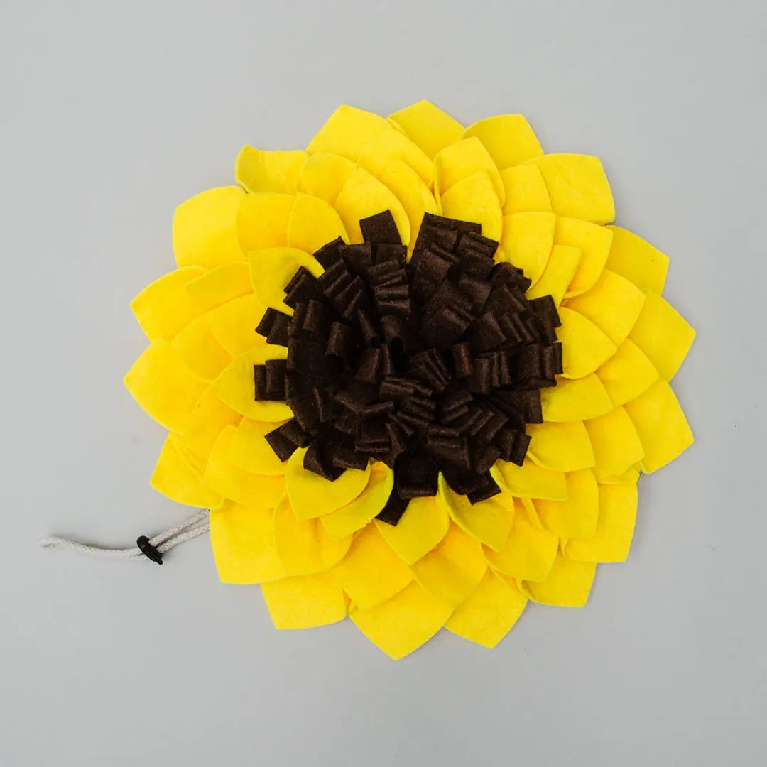 "Sunflower Sniff" Schnüffelmatte 4legs.de