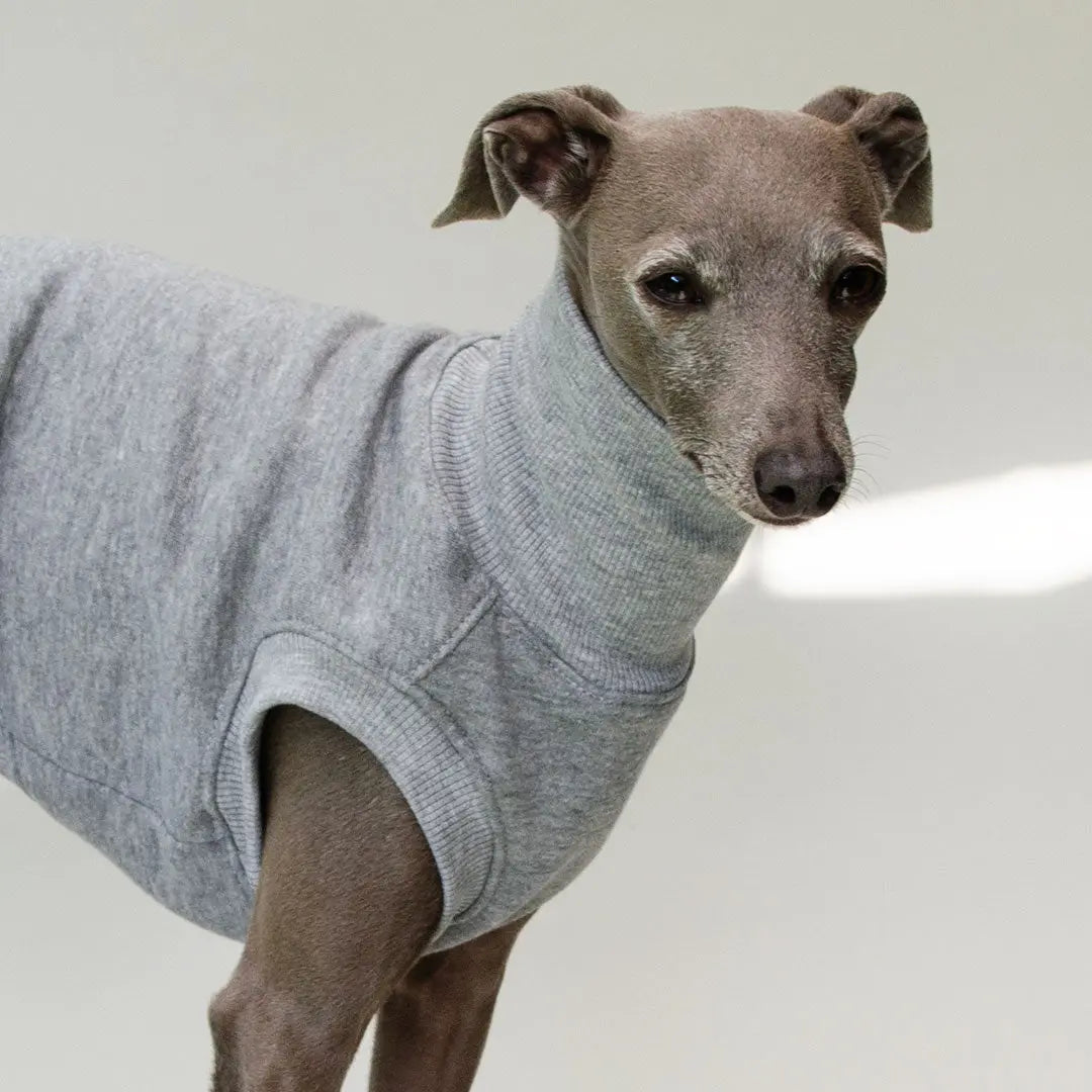 Sweatshirt für Hunde "LOUNGE" - grau 4legs.de