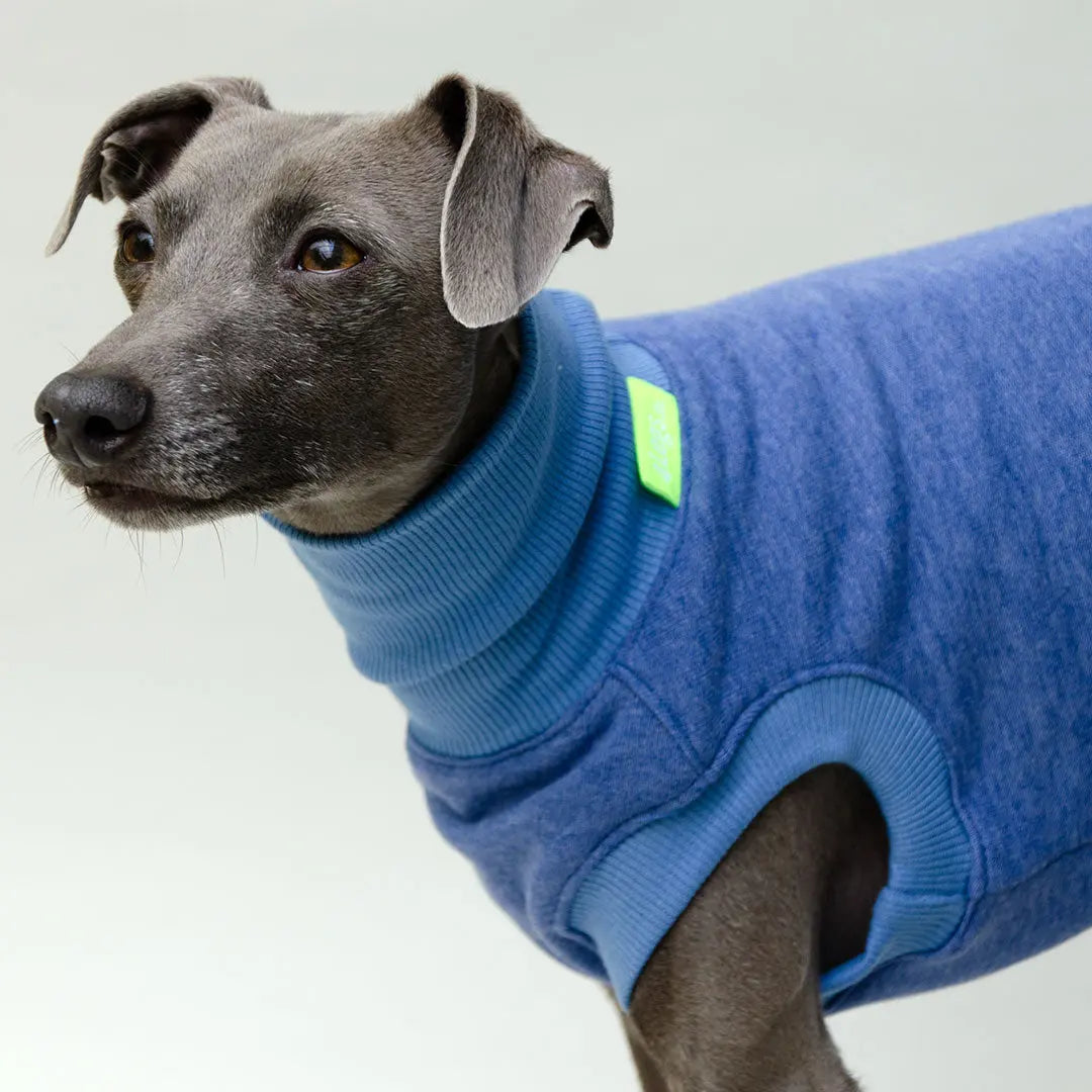 Sweatshirt für Hunde "LOUNGE" - jeansblau 4legs.de