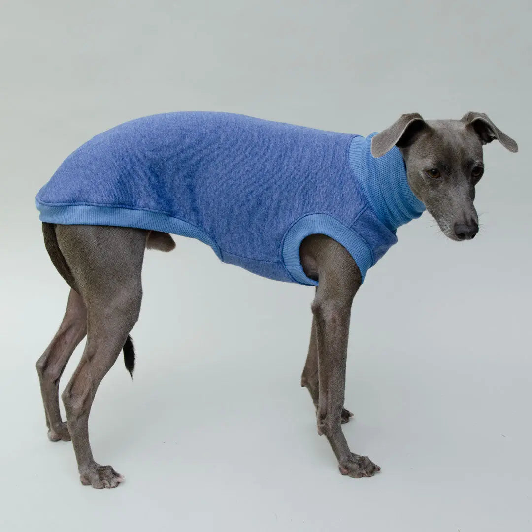 Sweatshirt für Hunde "LOUNGE" - jeansblau 4legs.de