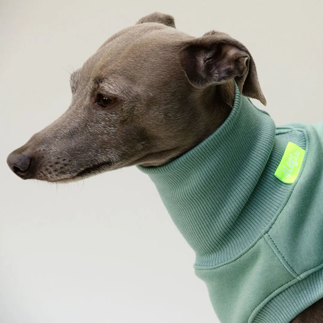 Sweatshirt für Hunde "LOUNGE" - salbei 4legs.de