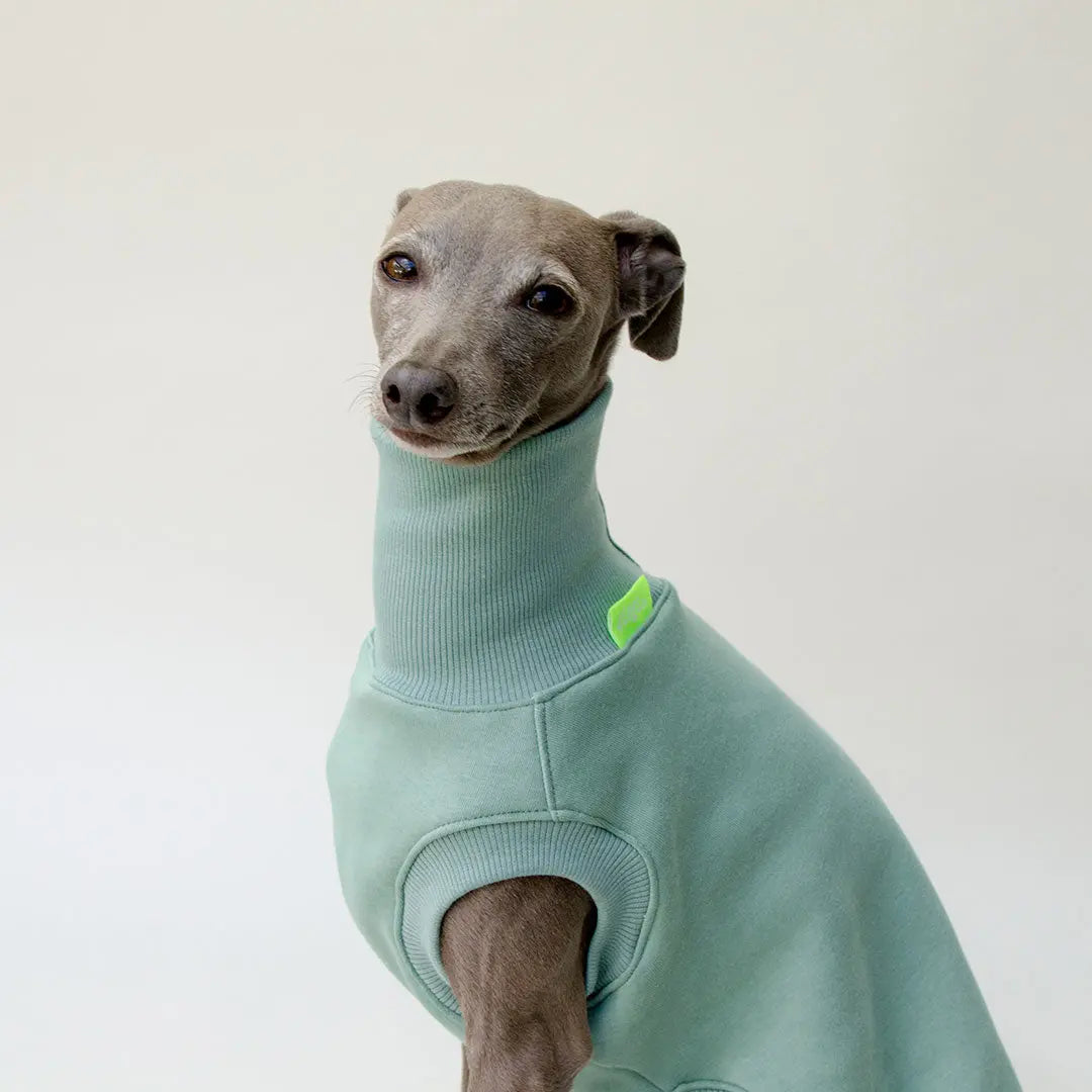 Sweatshirt für Hunde "LOUNGE" - salbei 4legs.de