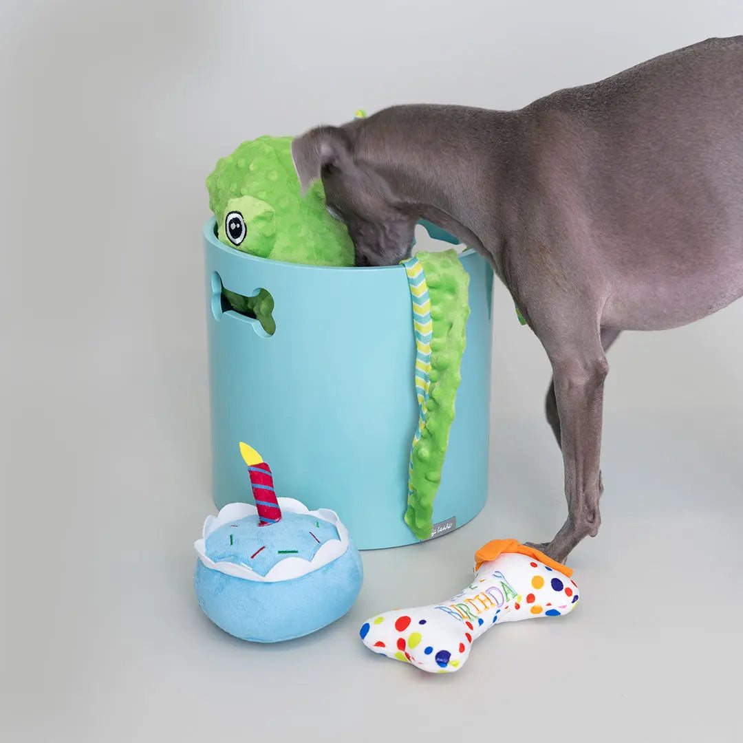 Toy-Bucket