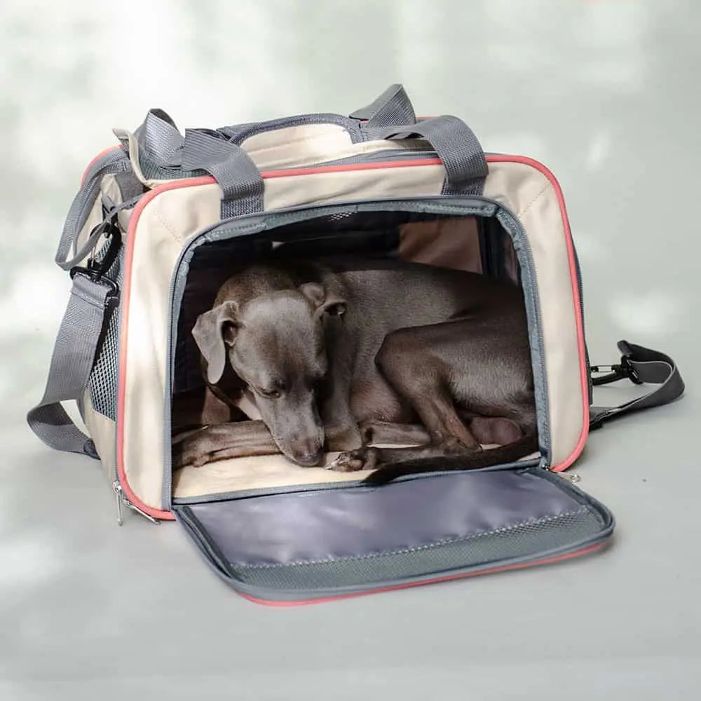 Transporttasche für Hunde "Travelbag business class" 4legs.de