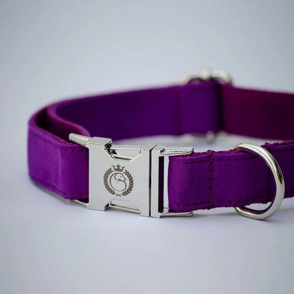 Velours Halsband „Color Up“ - Purple 4legs.de