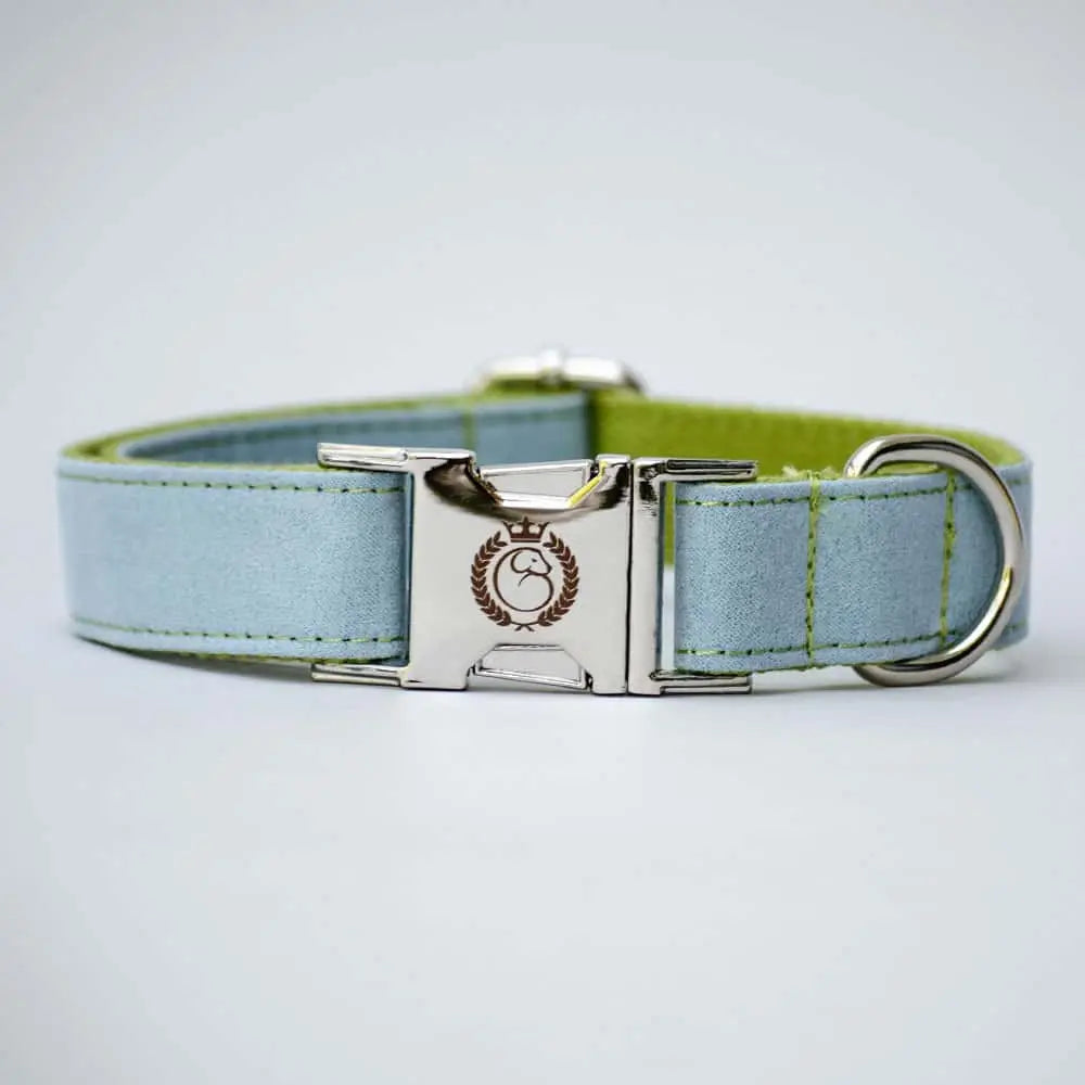Dieses Velours Halsband für Hunde „Color Up“ in der Farb-Kombination grün und hellblau passt besonders gut zu pfiffigen 4Beinern.