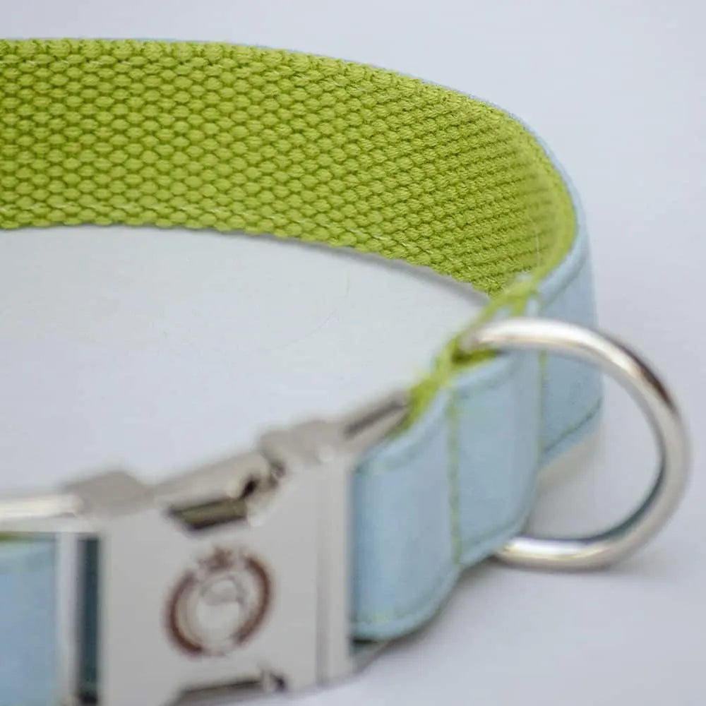 Velours Halsband für Hunde „Color Up“  - grün-hellblau 4legs.de