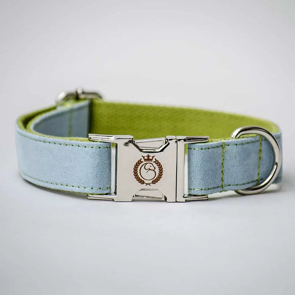 Velours Halsband für Hunde „Color Up“  - grün-hellblau 4legs.de