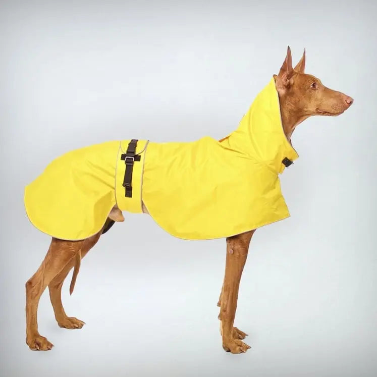 Warme Hunde-Regenmantel - "Zoe" - gelb - SDW 4legs.de