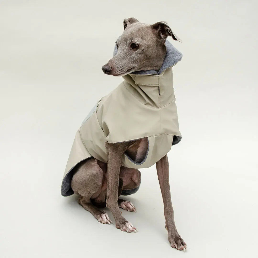 Warmer Hunde-Regenmantel "Safe From Rain" sand 4legs.de