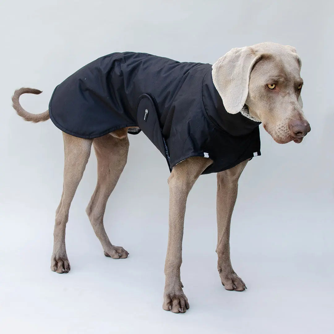 Warmer Hundemantel "HUGO"- SDW 4legs.de