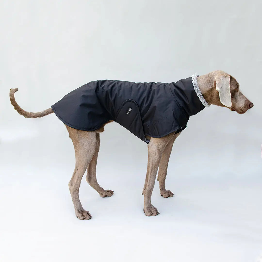 Warmer Hundemantel "HUGO"- SDW 4legs.de