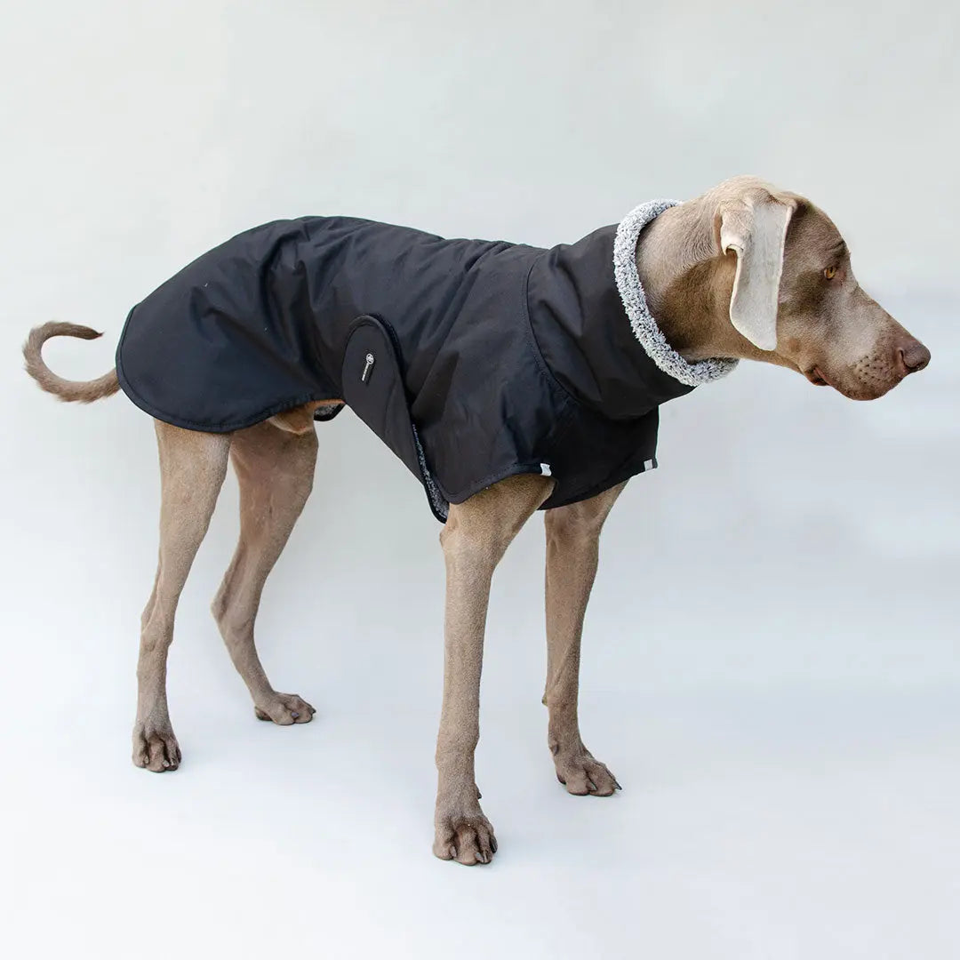 Warmer Hundemantel "HUGO"- SDW 4legs.de
