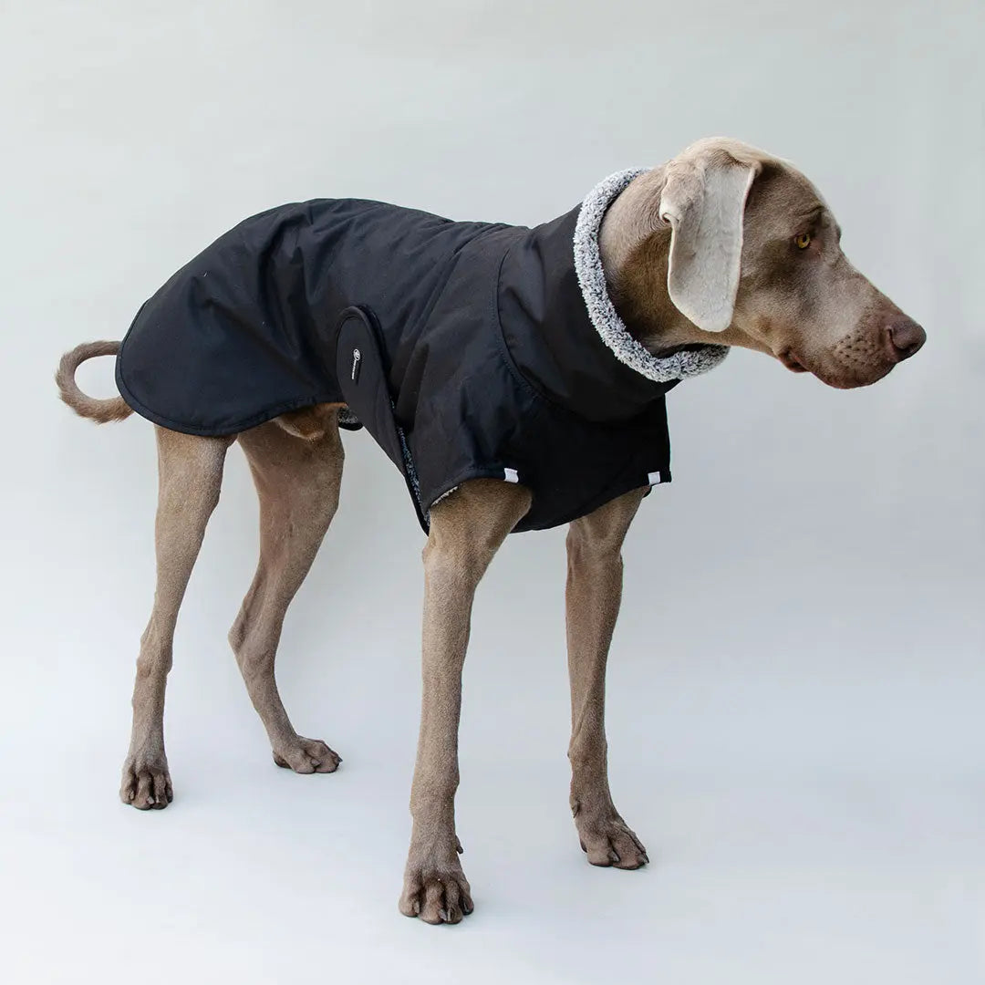 Warmer Hundemantel "HUGO"- SDW 4legs.de