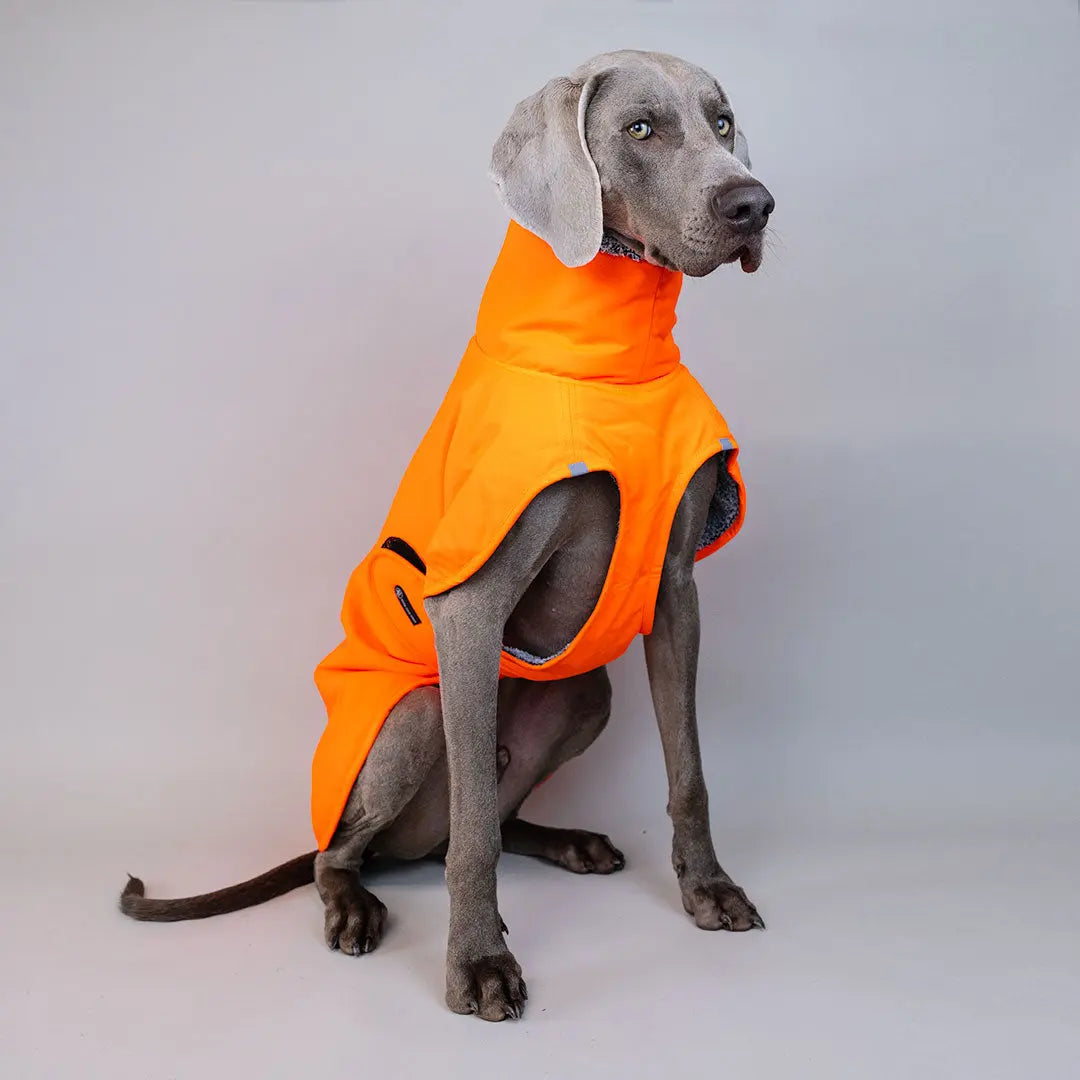 Warmer Hundemantel 