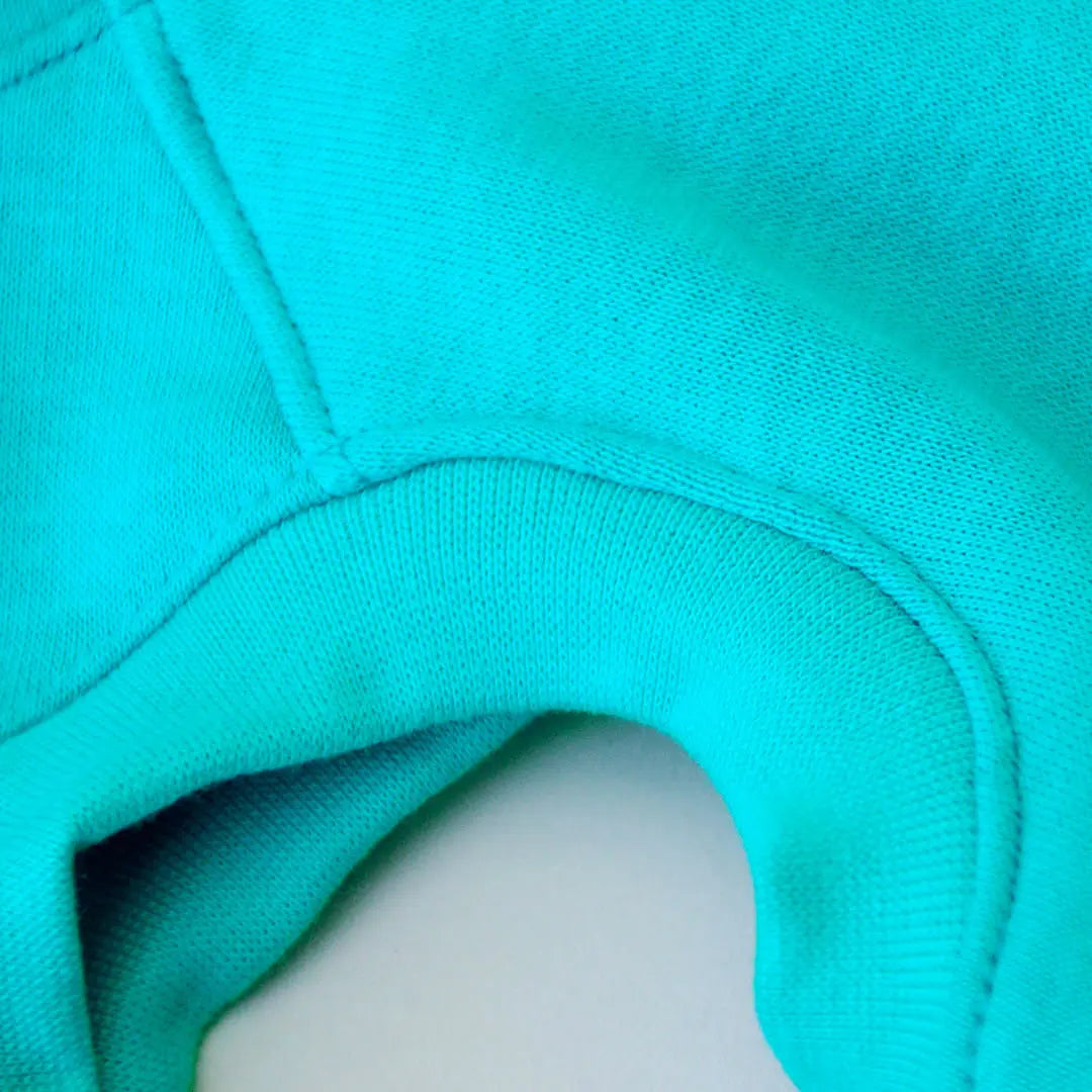 Warmes Sweatshirt "COZY" - türkis 4legs.de