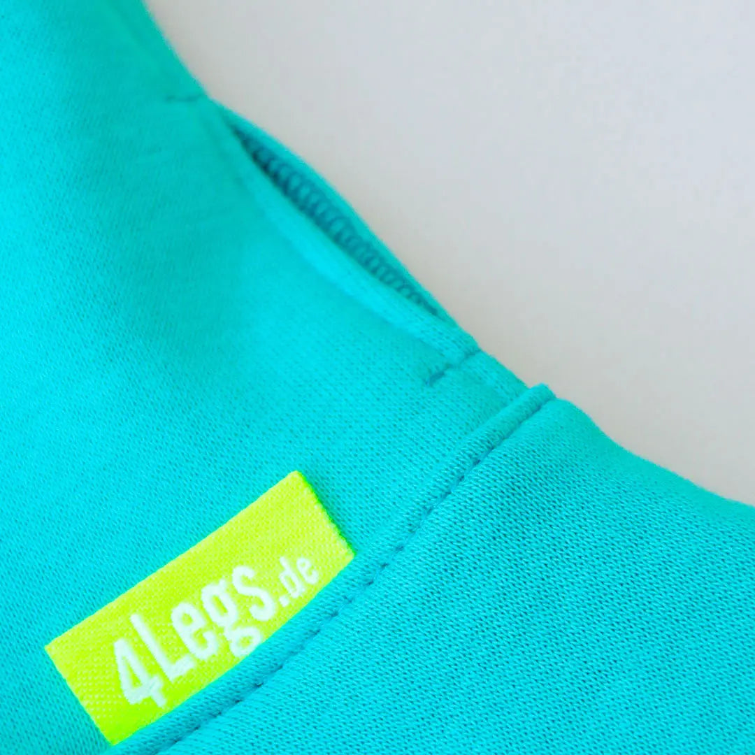 Warmes Sweatshirt "COZY" - türkis 4legs.de