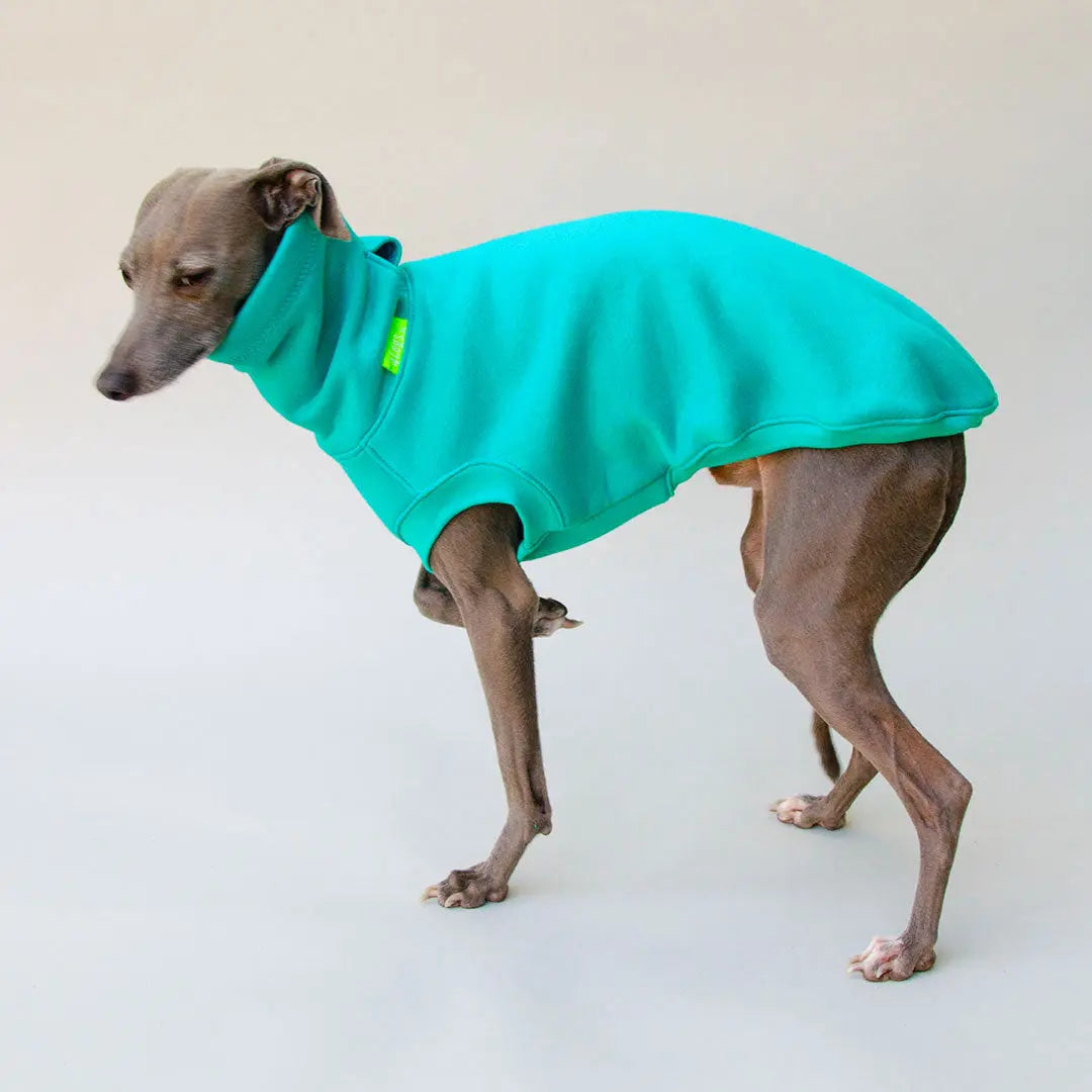 Warmes Sweatshirt "COZY" - türkis 4legs.de