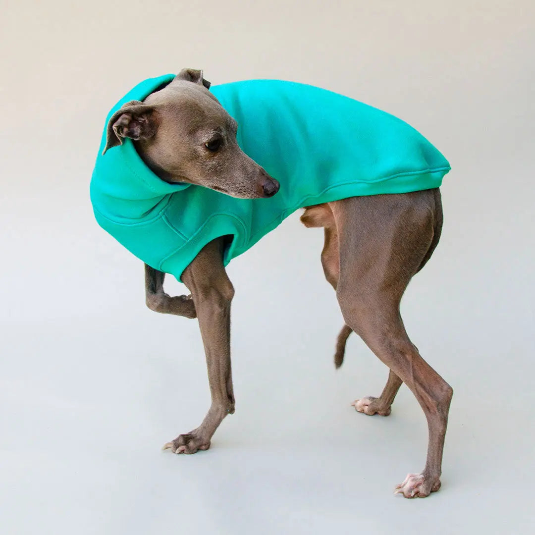 Warmes Sweatshirt "COZY" - türkis 4legs.de