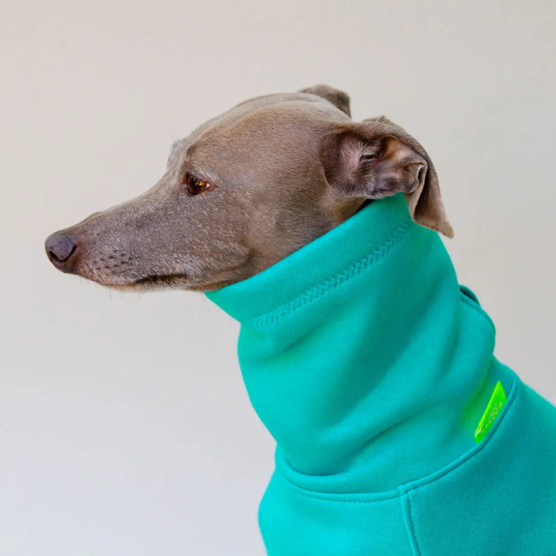 Warmes Sweatshirt "COZY" - türkis 4legs.de