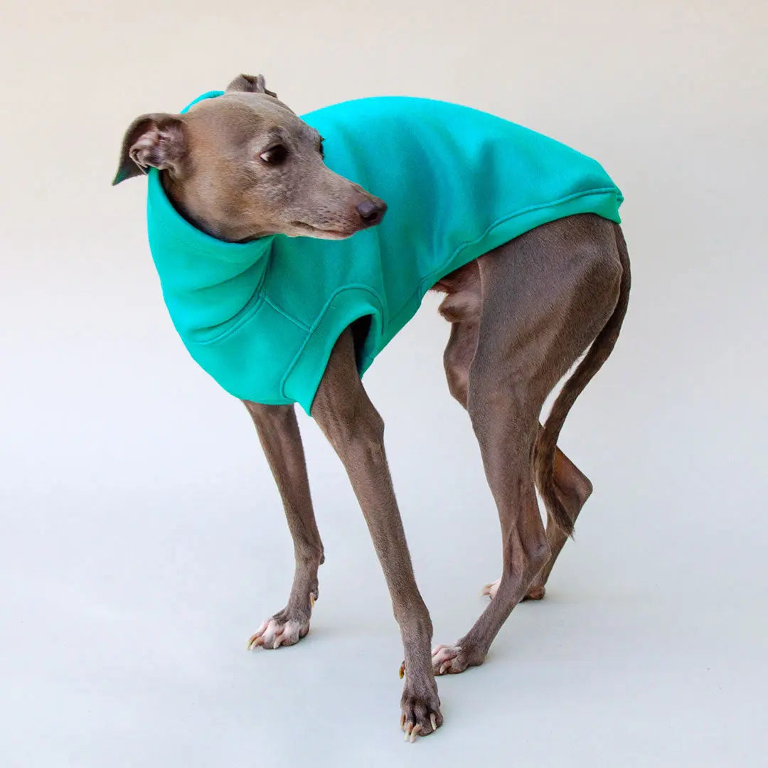Warmes Sweatshirt "COZY" - türkis 4legs.de