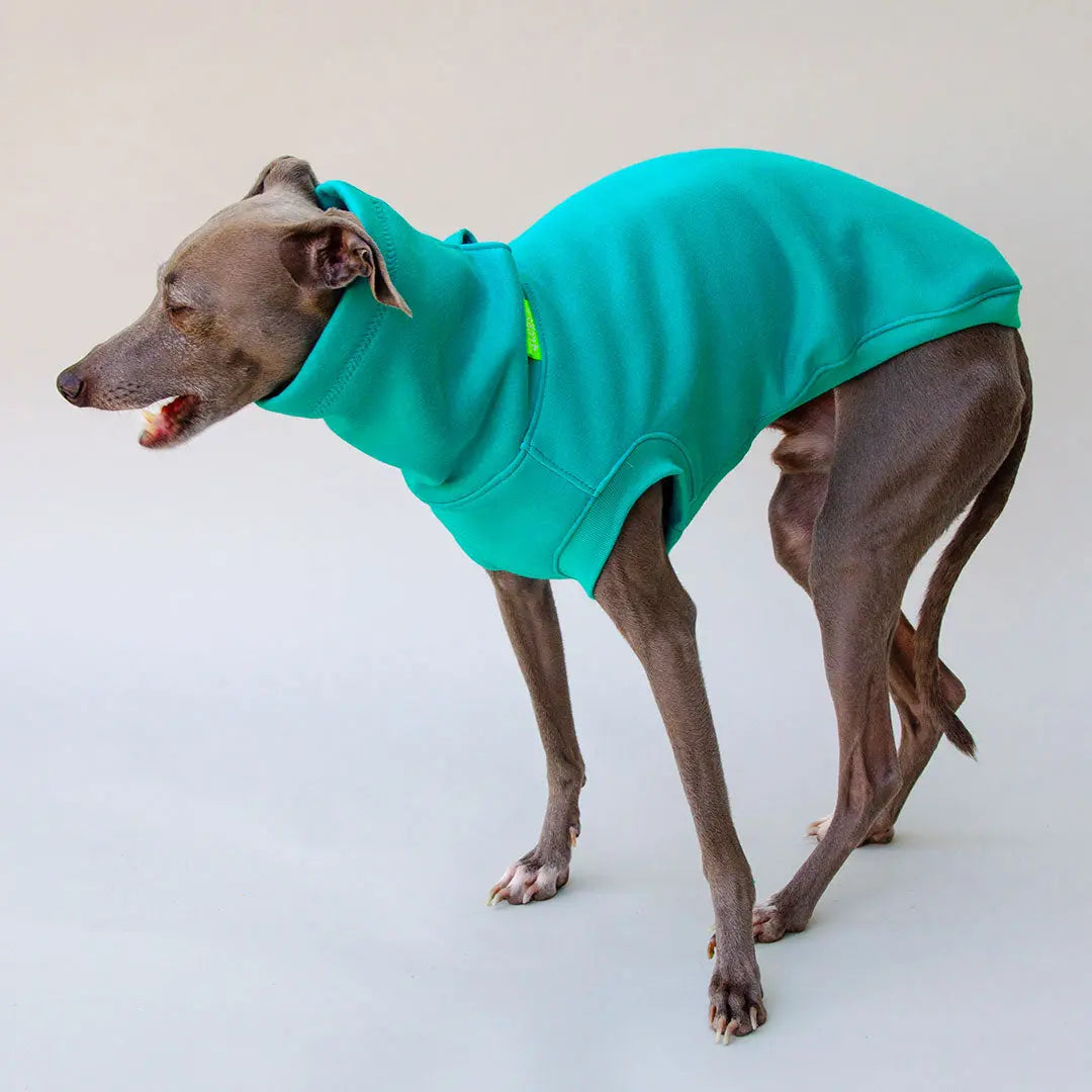 Warmes Sweatshirt "COZY" - türkis 4legs.de