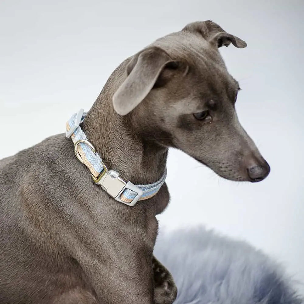 "Collar Nylon Puppy" ist das Welpen Hundehalsband der einen perfekten Begleiter, beim Heranwachsen des Hundes, darstellt.