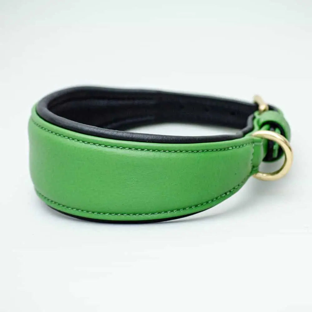 Das Windhund-Lederhalsband "Greyhound Green" dient sowohl als farbenfrohes Accessoire als auch als ein perfekter Halt für 4Beiner mit zarten langen Hälsen