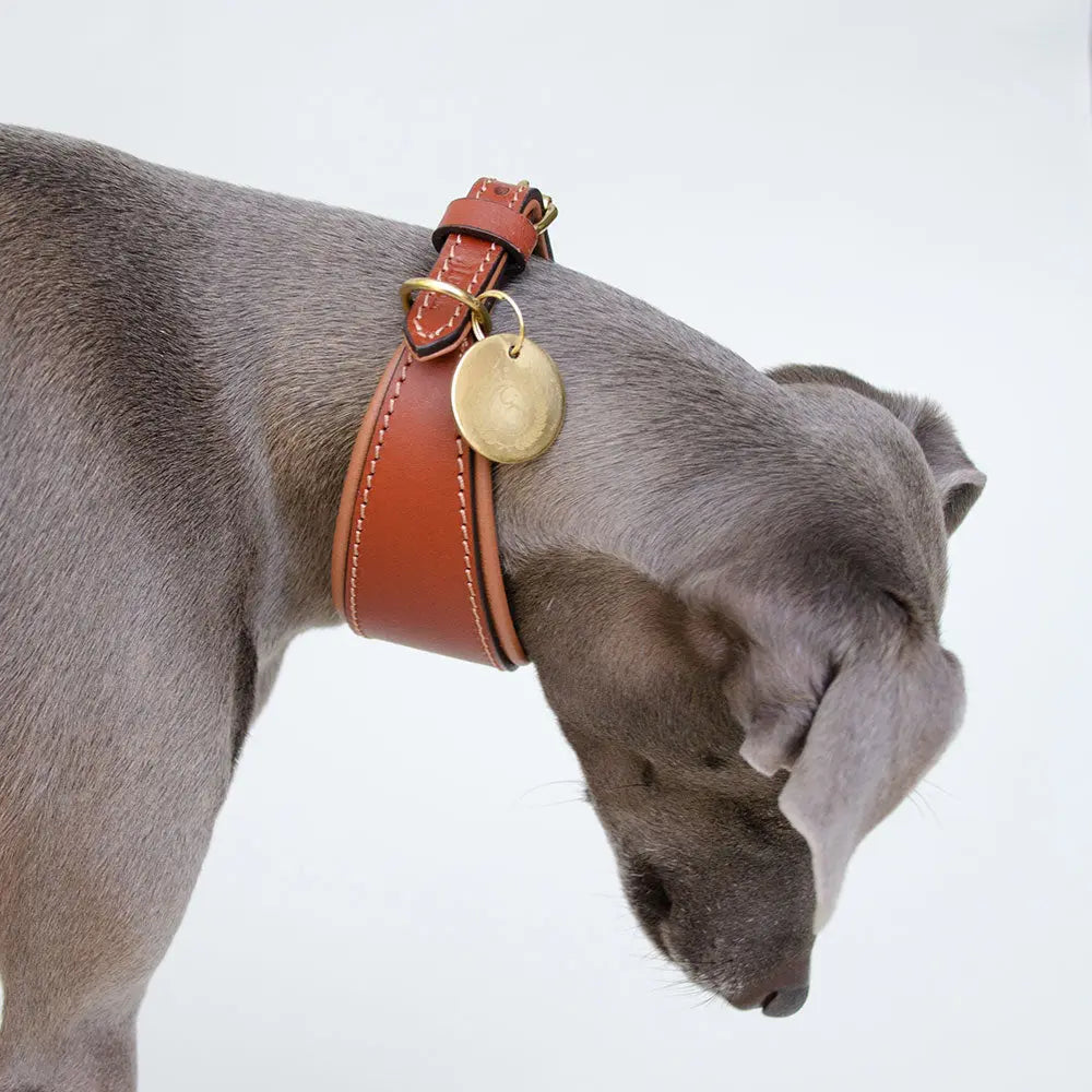 Windhund Lederhalsband - "Nappa Greyhound" - tan 4legs.de